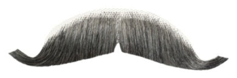 Pro Mustache 2012 European