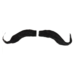 Muskateer Moustache