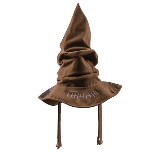 Kids Harry Potter Sorting Hat | The Costumer