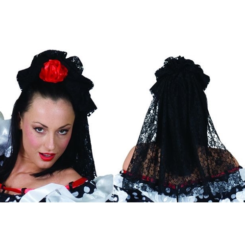 Black Lace Veil with Red Rose Hairclip