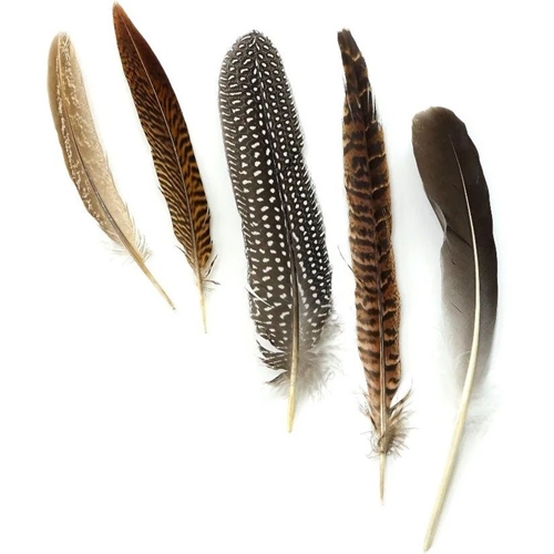 Assorted Guinea and Goose Rounds Quill and Pheasant Tails Natural