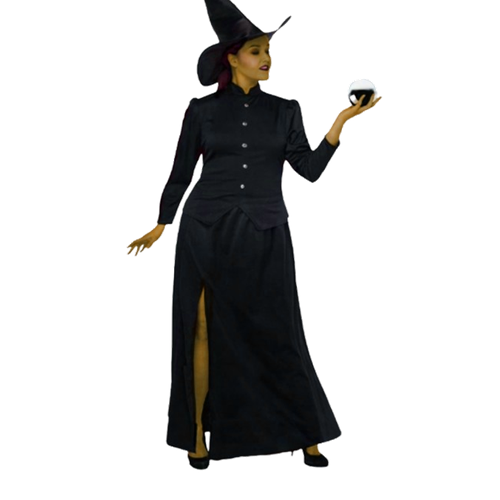 Classic Witch Adult Costume