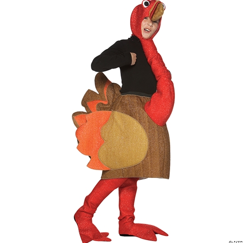 Turkey Childs Costume