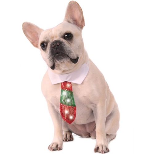 Reversible Holiday Pet Tie M/L