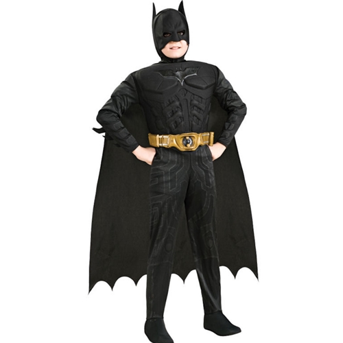 Batman Dark Knight Rises Childs Costume, Size Large