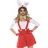 Darling Doodle Bunny Sexy Adult Costume