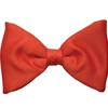 Formal Bow Tie