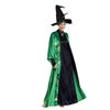 Professor McGonagall Deluxe Adult Costume | The Costumer