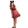 Red Minnie Mouse Tween Costume | The Costumer