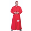 Cardinal Gilberto Adult Costume