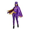 Batgirl Grand Heritage Adult Costume