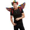 Rainbow Feather Wings