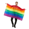 Rainbow Flag Adult Costume