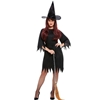 Spooky Witch Adult Costume