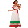 Fiesta Party Dress Adult Costume