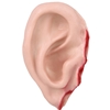 Fake Severed Ear Prop