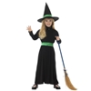 Wicked Witch Childs Costume