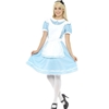 Wonderland Princess Adult Costume