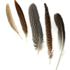 Assorted Guinea and Goose Rounds Quill and Pheasant Tails Natural