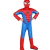 Spider-Man Childs Qualux Costume