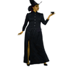 Classic Witch Adult Costume