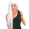 Long White Witch Wig