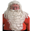 Professional Santa Wig & Beard Set