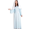 Mary Adult Costume