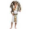 Golden Egyptian Pharoah (5 pc) Childs Costume