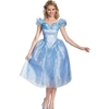 Cinderella Movie Dress Adult Costume