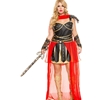 Dark Greek Warrior Adult Plus Size Costume