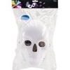 Skull Mask Day of the Dead Blank