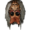 Aracnoid Mask