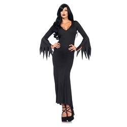 Gothic Dress Adult Costume